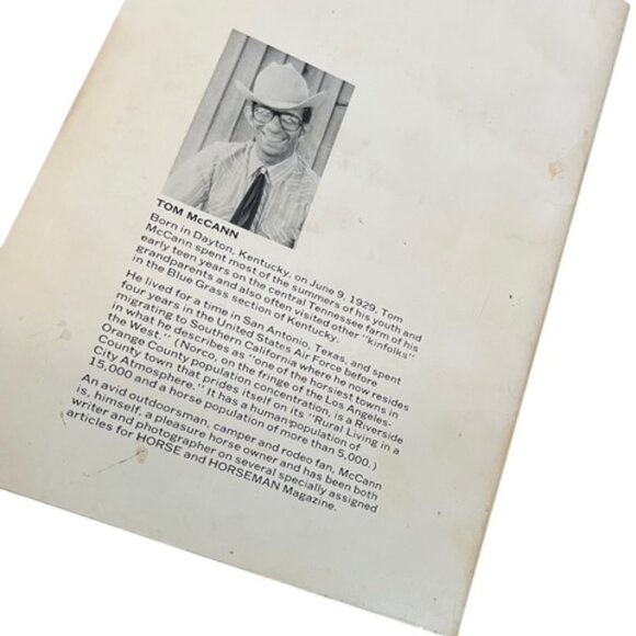 How to Train a reining Horse - Picture 2 of 3